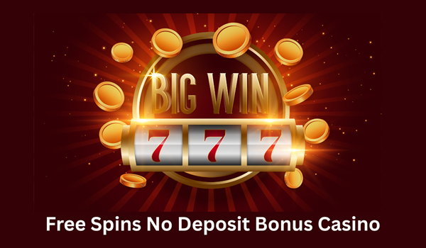 Discover 300 Free Spins No Wager – Your Ultimate Guide